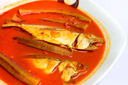 Curry mackarel in a bowlの写真素材