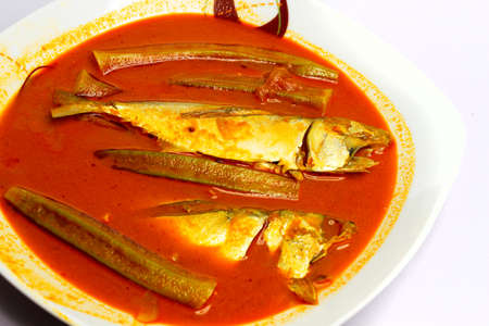 Curry mackarel in a bowlの写真素材