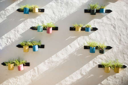 flower bucket decoration at wallの写真素材