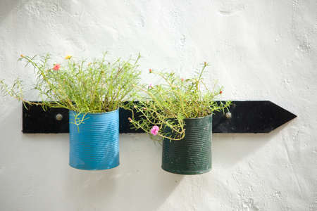 flower bucket decoration at wallの写真素材