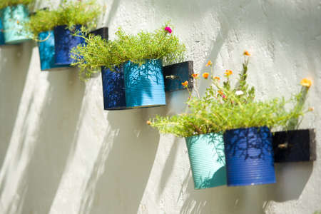 flower bucket decoration at wallの写真素材