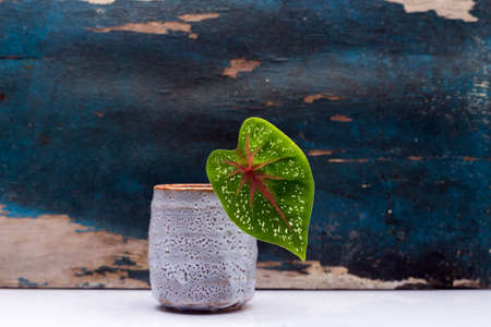 vintage background setupの写真素材