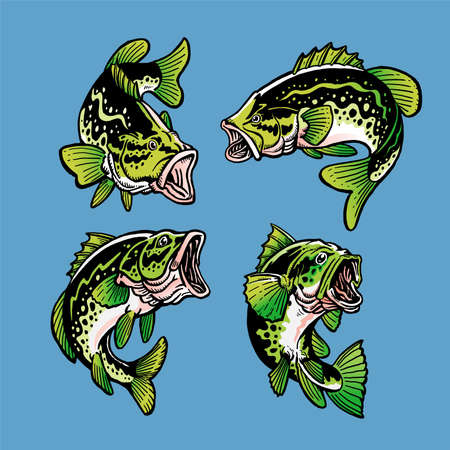 Set of largemouth bass fishのイラスト素材