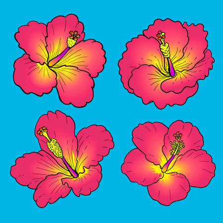 Peach pink hibiscus flower pack for collection Premium Vectorのイラスト素材