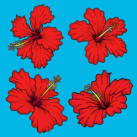 Red rose hibiscus flower pack for collection Premium Vectorのイラスト素材