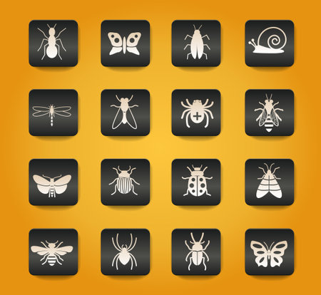 insects symbols on black buttons on yellow backgroundのイラスト素材