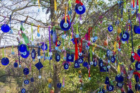 Evil eye beads hanging on treeの写真素材
