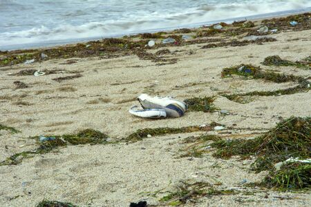 Dirty Beachの写真素材