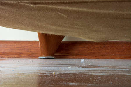Dust under the sofa in close-upの写真素材
