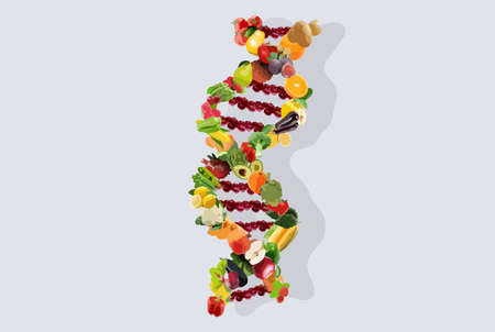 Nutrigenetics concept illustration dna strand vegetables and fruitsのイラスト素材