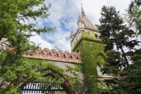 Moss Covered Castle Walls with Blue Sky in Budapest, Hungaryのeditorial素材