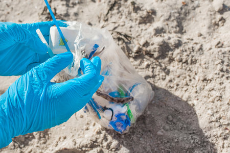 Hands in protective rubber gloves lift and remove debris on the beach close up.の写真素材