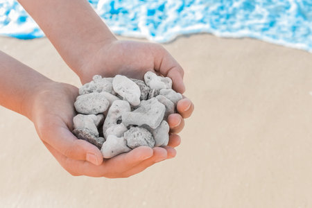 Man's hands hold pile of gray stones amid seashore close-up.の写真素材