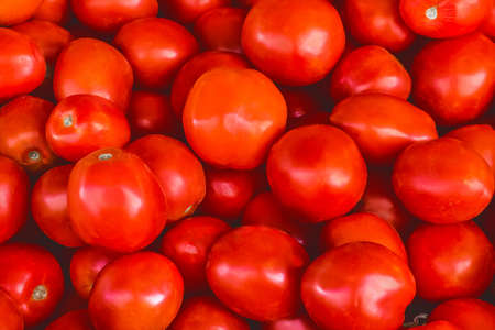 Heap of red Ukrainian tomatoes background on the market.の写真素材