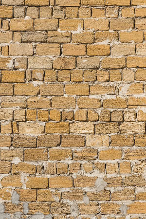 Shell brick wall texture stone background, building limestone facade.の写真素材
