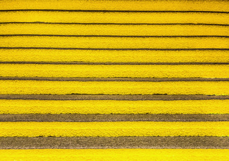 Yellow heat insulation material, texture of the euroblock in a hardware store, building material.の写真素材