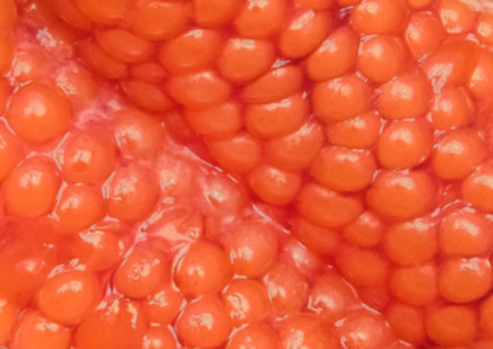 Red fish caviar texture blurred background, close-up.