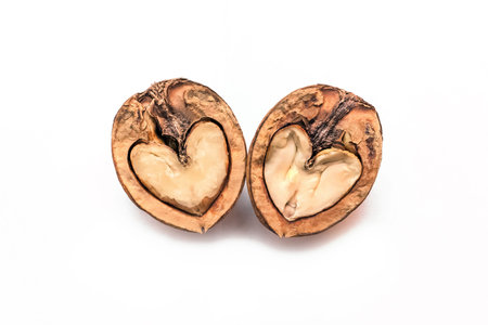 Halves of a walnut in the shape of a heart isolated on a white background.