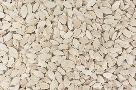 A pile of white organic dry seeds texture raw light background.