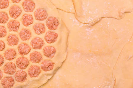 Cooking dumplings at home, culinary meal homemade composition, rolled dough food background.の写真素材