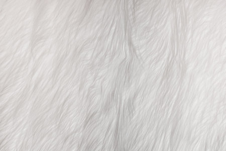 White soft wool pattern texture, abstract light fluffy fur background.