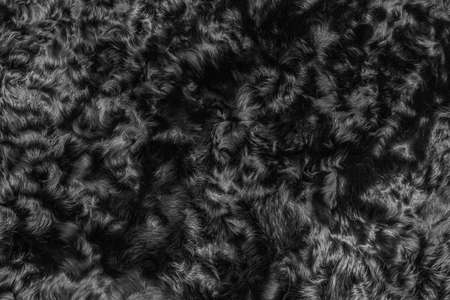 Black wool texture fur background dark soft material abstract surface pattern natural.の写真素材