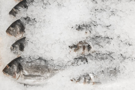 Raw frozen fish cold in ice fresh seafood on the supermarket counter.