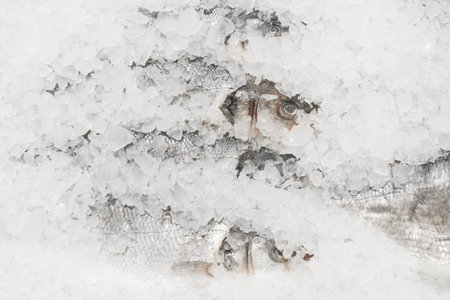 Raw frozen fish cold in ice fresh seafood on the supermarket counter.
