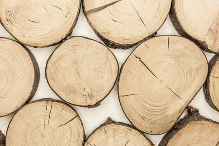 Annual Wooden Rings Cut Wood Surface Abstract Interior Design Tree Background.の写真素材