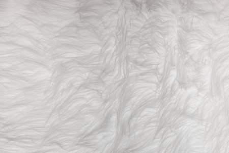 White soft wool pattern texture, abstract light fluffy fur background.