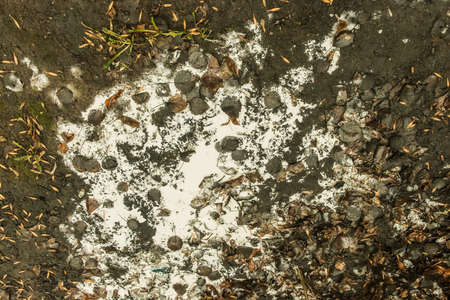 Toxic chemical waste and emissions pollution of the environment, ecology, land and dirty soil or ground.の写真素材