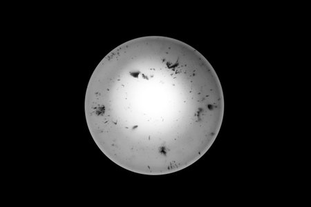 Lamp unclean light on the ceiling unsanitary object dirty on a dark background light spot.