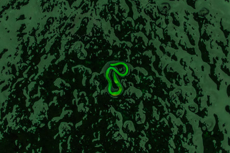 Radioactive worm. Oblong soft-bodied boneless animal dies and becomes infected with radiation in the...
