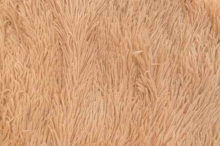 Brown beige fur wool abstract pattern nature skin soft warm fluffy background texture plaid.