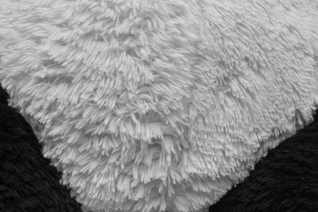 Black and White Animal Texture Natural Background Pattern Panda Design Print Abstract.の写真素材