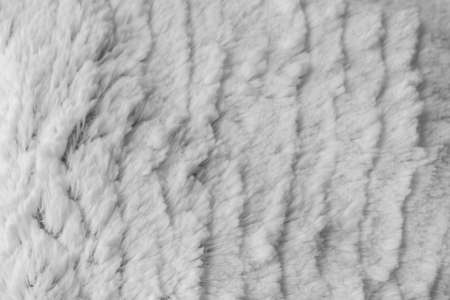White wool texture fur background pattern warm abstract soft material fluffy animal nature skin light.の写真素材