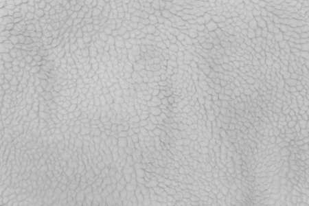 White sheep material wool fur soft structure fleece fabric background texture warm natural light nature skin.の写真素材