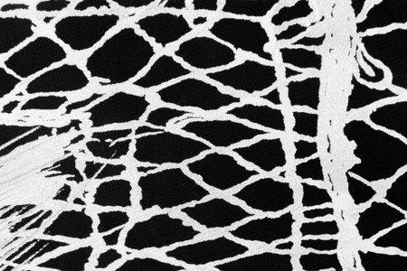 Fabric black white pattern vintage material background abstract design texture textile.