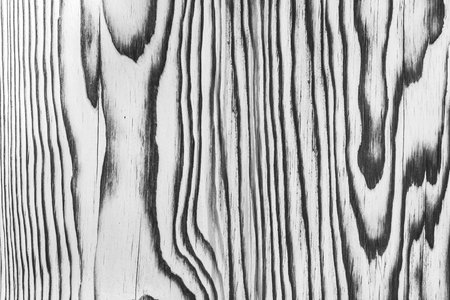 Light white gray wood surface with natural black charred burnt patterns design decorative decoration decor texture timber background.の写真素材