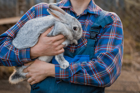 Farmer rural in countryside with shirt and overalls with white rabbit in his arms outdoors bunny pet care.の写真素材