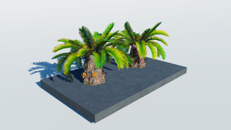 Rendering of palm treesの写真素材