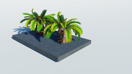 Rendering of palm treesの写真素材