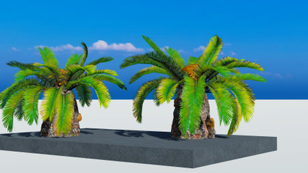 Rendering of palm treesの写真素材