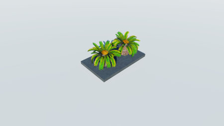 Rendering of palm treesの写真素材