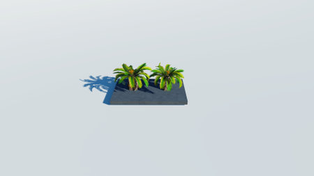 Rendering of palm treesの写真素材