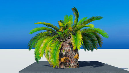 Rendering of palm treesの写真素材