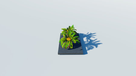 Rendering of palm treesの写真素材