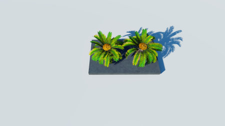Rendering of palm treesの写真素材
