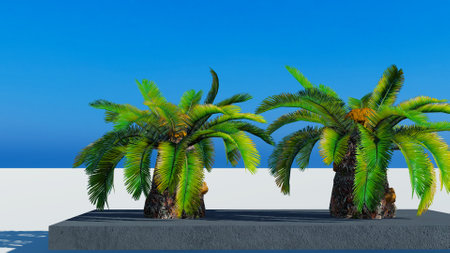 Rendering of palm treesの写真素材
