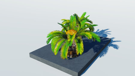 Rendering of palm treesの写真素材